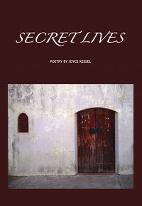 Secret Lives front cover